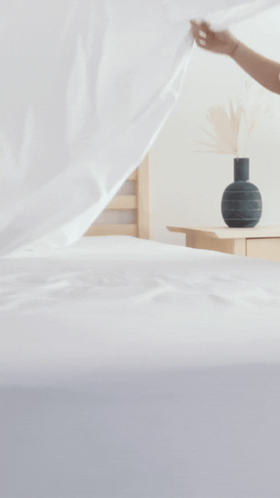 Organic Cotton Sateen Sheet Set